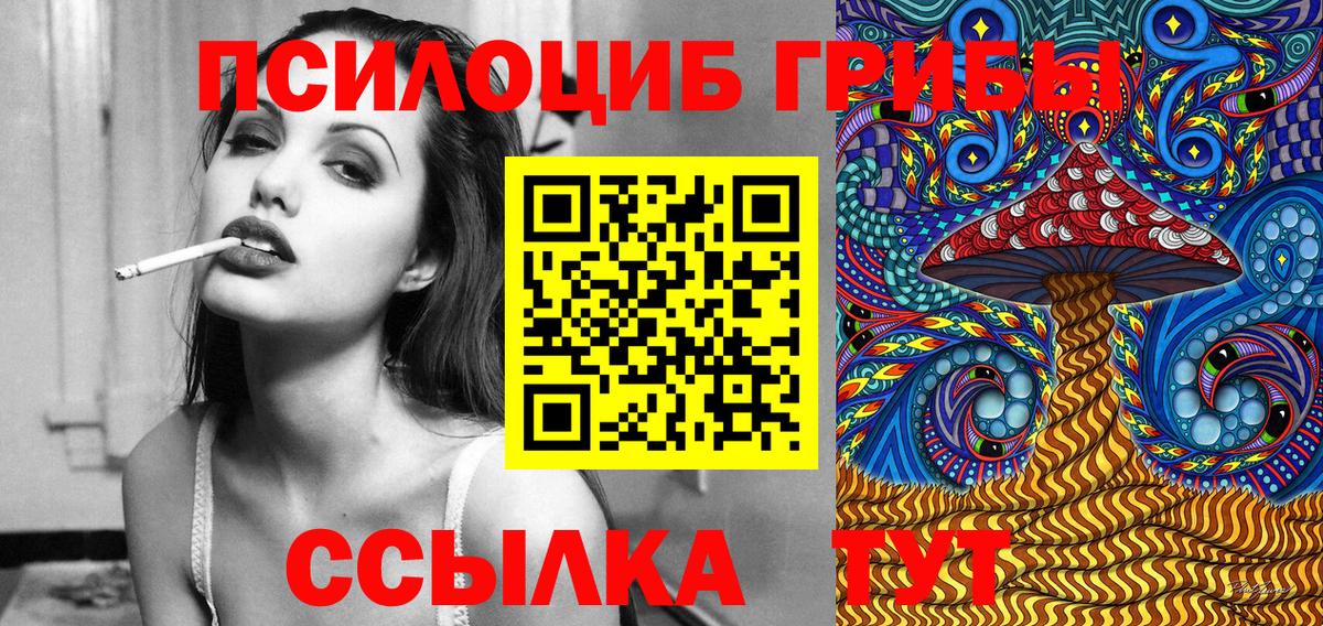Галлюциногенные грибы прущие грибы  Вход с VPN  Хасавюрт 